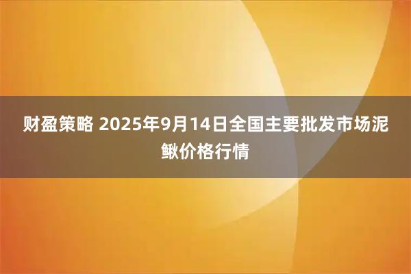 财盈策略 2025年9月14日全国主要批发市场泥鳅价格行情