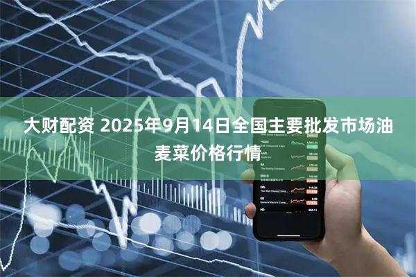 大财配资 2025年9月14日全国主要批发市场油麦菜价格行情