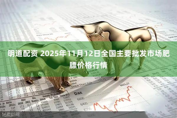 明道配资 2025年11月12日全国主要批发市场肥膘价格行情