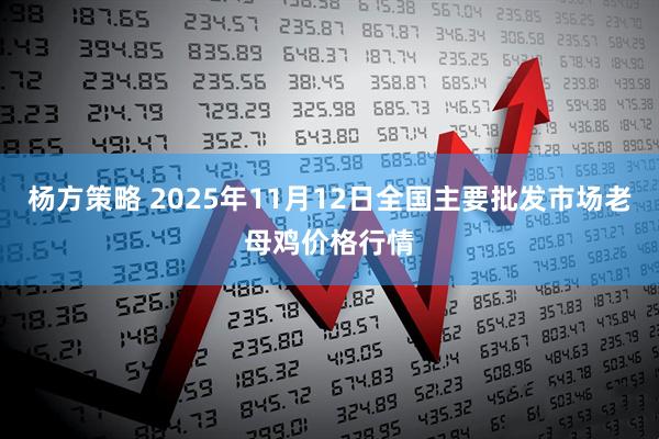 杨方策略 2025年11月12日全国主要批发市场老母鸡价格行情