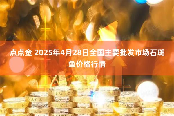 点点金 2025年4月28日全国主要批发市场石斑鱼价格行情