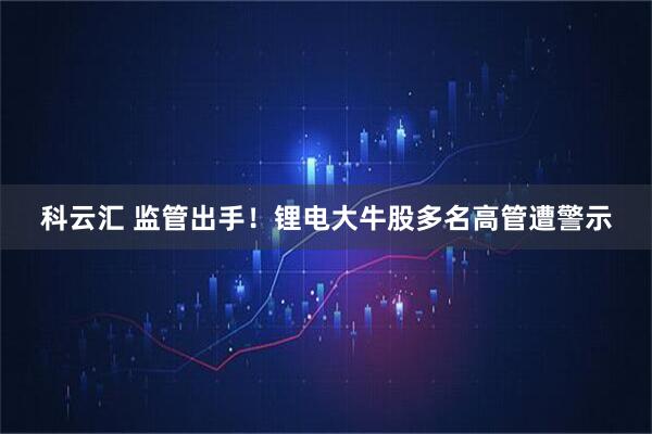 科云汇 监管出手！锂电大牛股多名高管遭警示