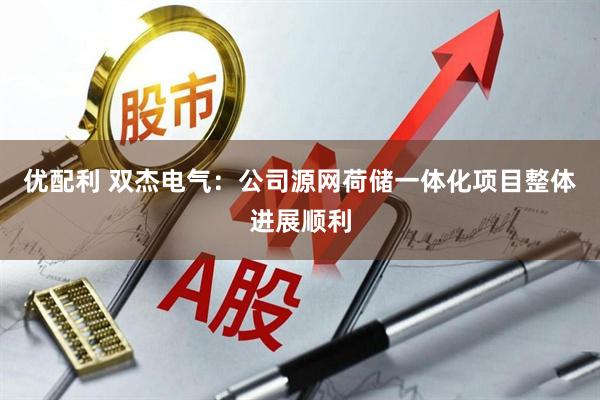 优配利 双杰电气:公司源网荷储一体化项目整体进展顺利